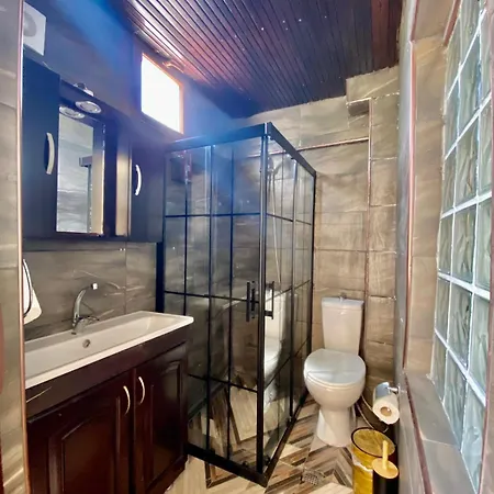 Seafront Mansion Summer House In Будинок відпочинку Айвалик