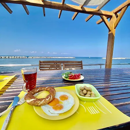 度假居 Seafront Mansion Summer House In