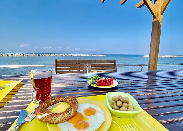 Vakantiehuis Seafront Mansion Summer House In