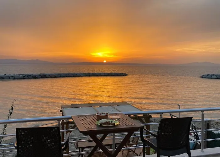 Seafront Mansion Summer House In Vakantiehuis *